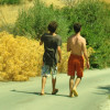 song thumbnail