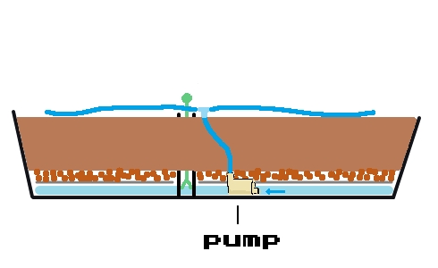 pump.jpg