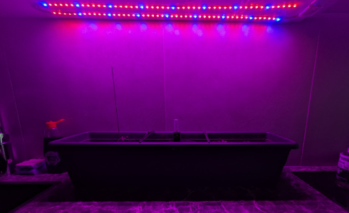 Planter with lighting